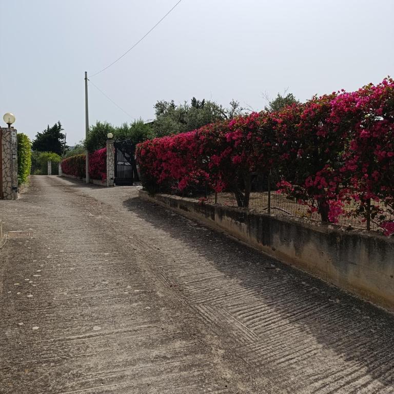 Villa Il Giardino di Rosa- 5 Min from the sea-Fraginesi - Two-Bedroom Villa - 5