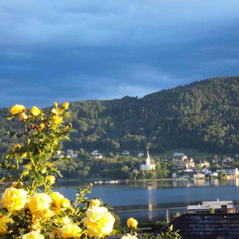 St. Oswalderhof - Einzelzimmer mit Seeblick - 10