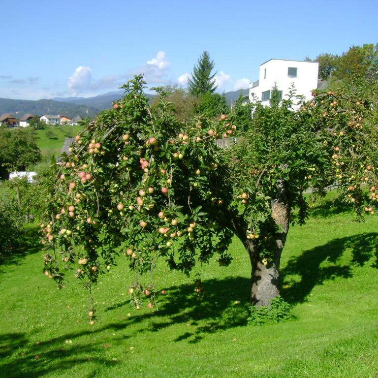 St. Oswalderhof - Doppel-/Zweibettzimmer mit Seeblick - 8