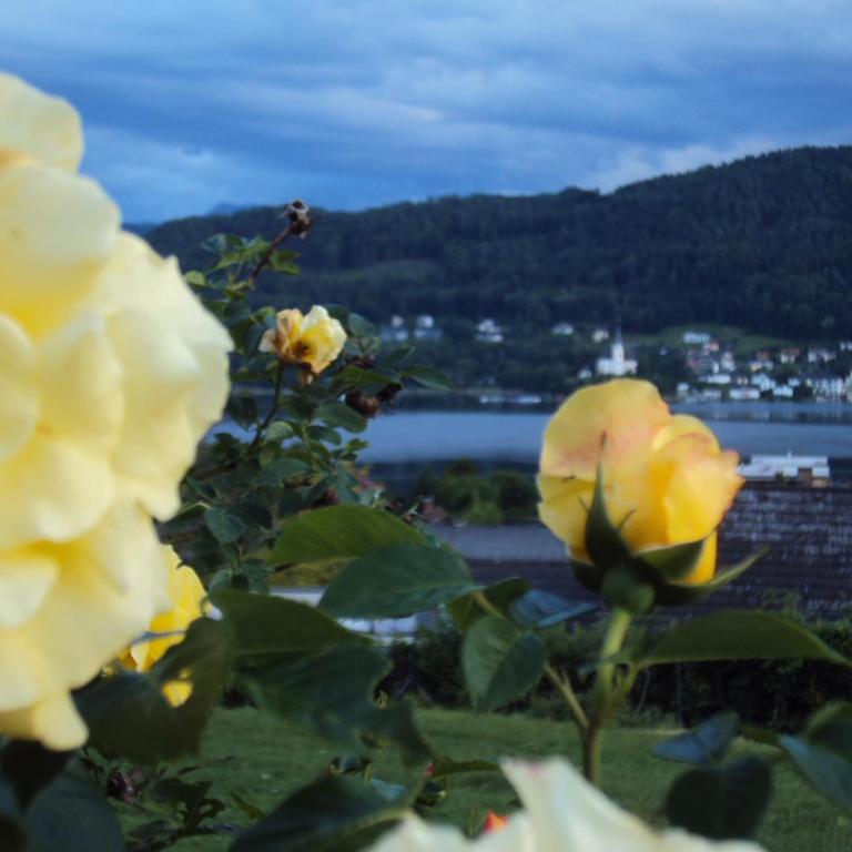 St. Oswalderhof - Doppelzimmer mit Seeblick - 11