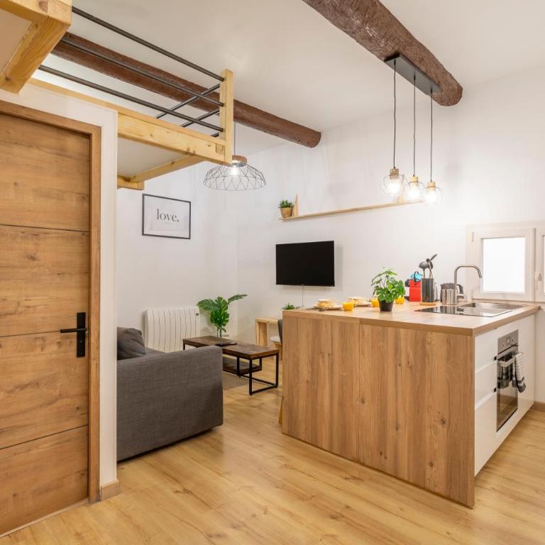 Studio Aixois Mezzanine - Appartement 1 Chambre - 1
