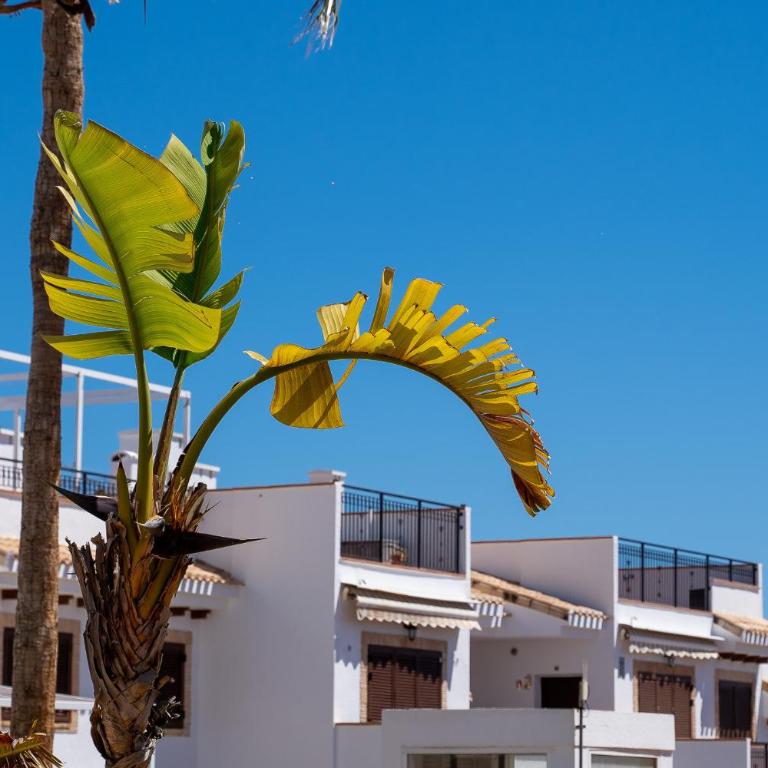 Pura Vida Beach Apartment by Perfectly Rentals - Bungalow Estándar - 39