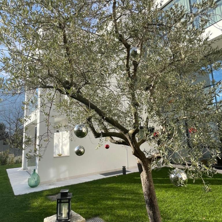 Midum LuxuryApartments con giardino - Appartamento con 1 Camera da Letto, Balcone e Vista Montagna - 11