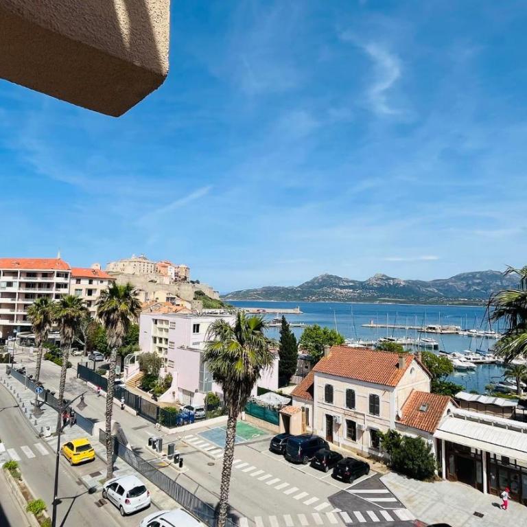 Appartement T2 Danielli CALVI - Appartement 1 Chambre - 6