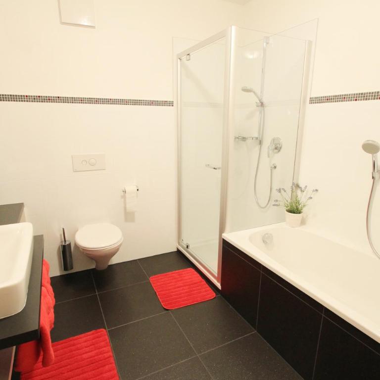 Sonnenschein Panorama Apartments inkl ZIRM-SAUNA, ruhiger Umgebung, reine Luft und BERGPANORAMA - Appartamento con 1 Camera da Letto e con Giardino - 7