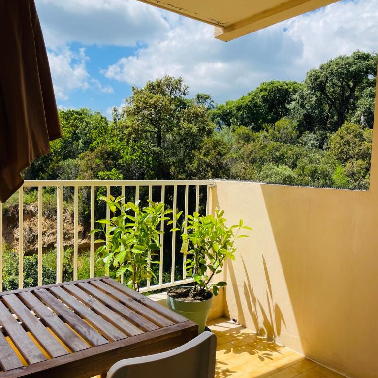 Appartement l'orée du bois Ajaccio - Appartement 1 Chambre - 22
