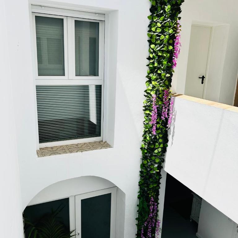Sotavento Malandar - Apartamento de 1 dormitorio - 2