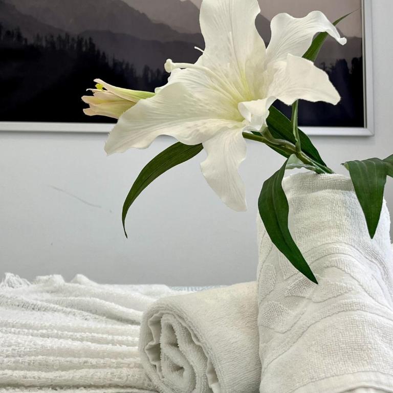 Sunshine Luxury View Los Cristianos - Apartamento - 13