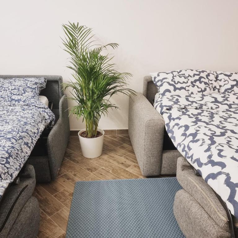 Ibisco Florence Apartment - Appartamento con 1 Camera da Letto e Vista Giardino - 6