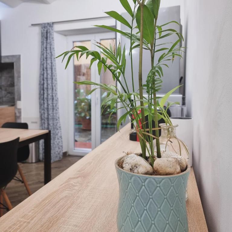 Ibisco Florence Apartment - Appartamento con 1 Camera da Letto e Vista Giardino - 18