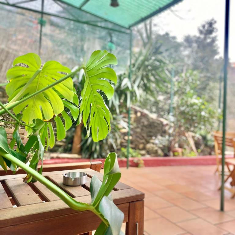 CasaViva - Bilo with patio in Genova San Teodoro - One-Bedroom Apartment - 11