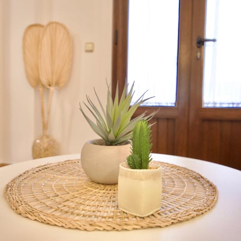 NUEVA 33 Apartamentos en el centro de Nerja - Habitación Doble con patio - 7