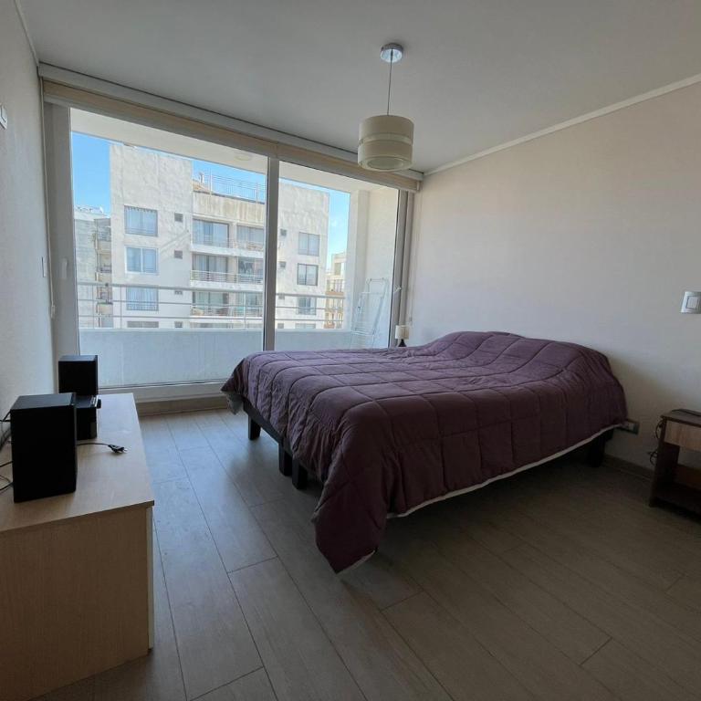 Departamento 1601 Viana Miramar - Apartamento de 3 dormitorios - 13