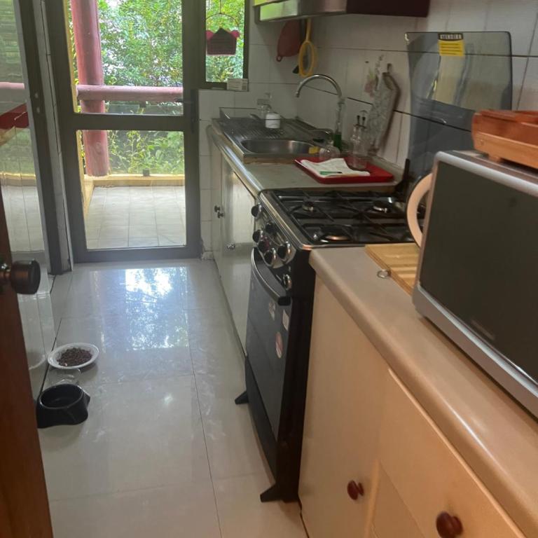 Departamento en Pucón Familiar para 7 personas vista Volcán Villarrica 4 dormitorios 3 baños - Apartamento de 1 dormitorio - 9