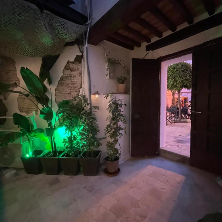 Arcos de Tarifa, Casco historico, aparcamiento - Apartamento de 1 dormitorio - 5