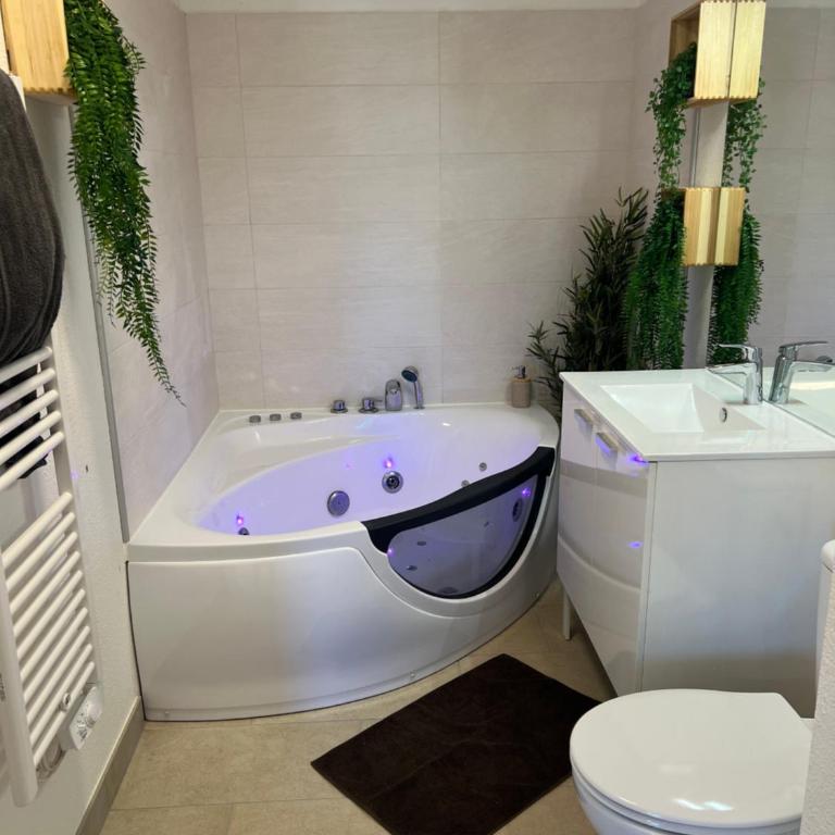 Le Somptueux, Cosy / Balnéo - Apartment mit 1 Schlafzimmer - 20