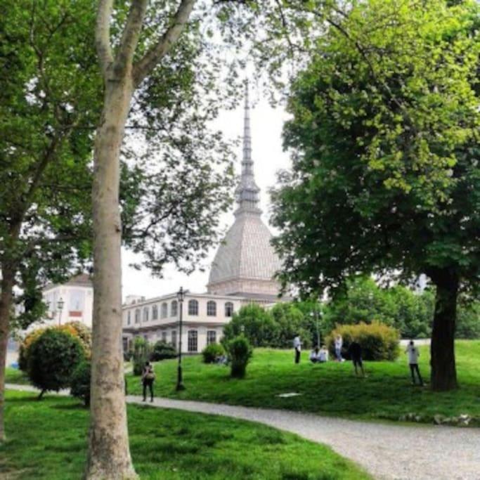 La Casa di Silvio ai Giardini Reali - Appartamento con 1 Camera da Letto - 18
