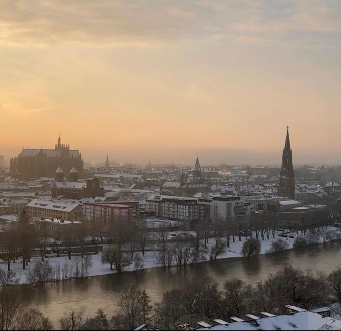 Superbe Appartement tout équipé, Le nid d'Eva à Metz Gare, Parking privé, Balcon, F2, 50m2, 3p - Appartement 1 Chambre - 20