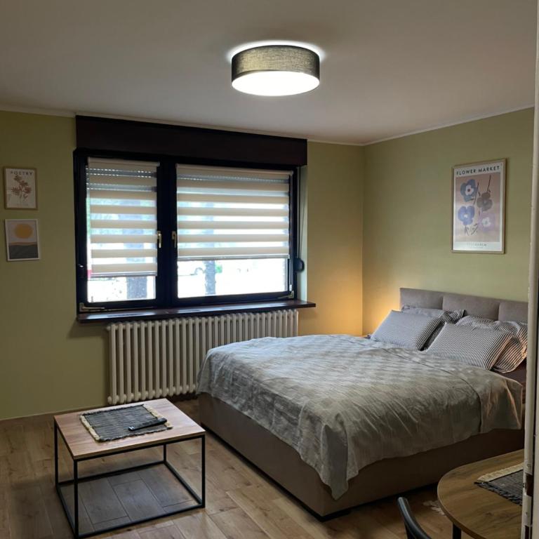 Studio Petra - One-Bedroom Apartment - 4