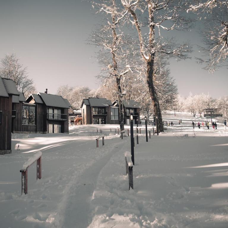 RentUp - Experimenta la belleza de San Martin de los Andes - One-Bedroom House - 8