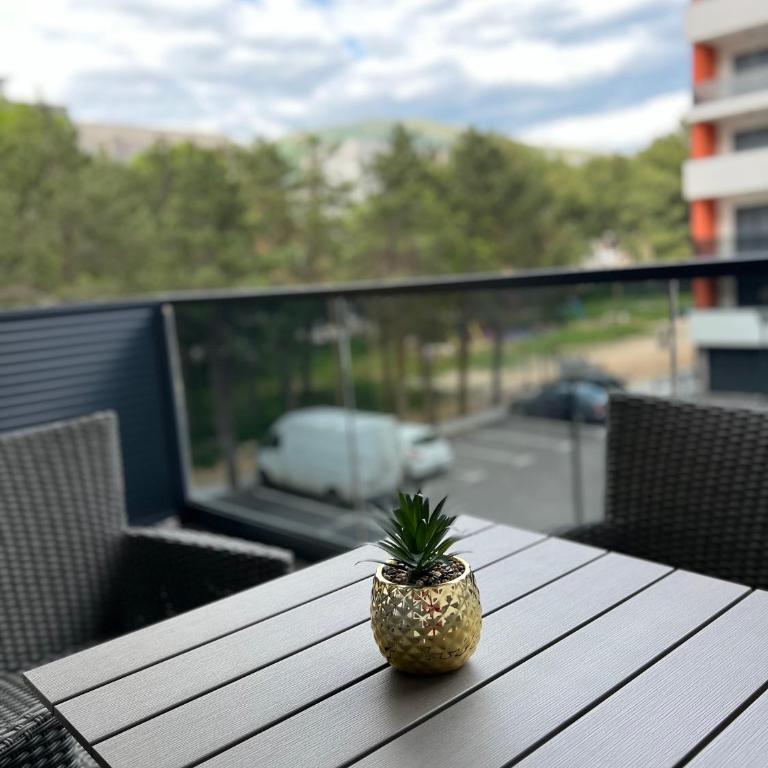 Apt Nina Centar - Apartman sa 1 Spavaćom Sobom - 3