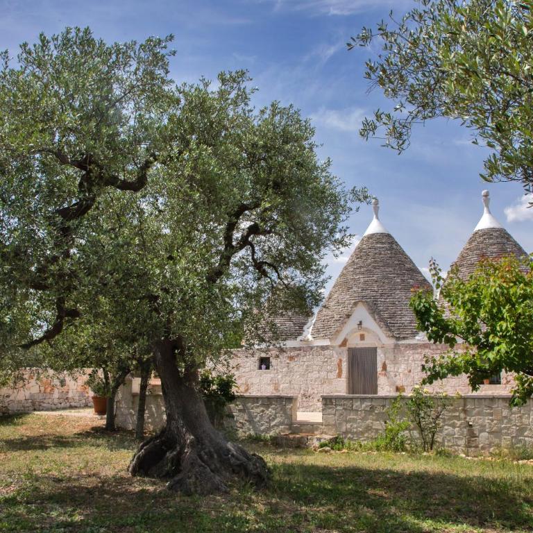 Trulli Foggia dell'Albero - Casa con 1 Camera da Letto - 2