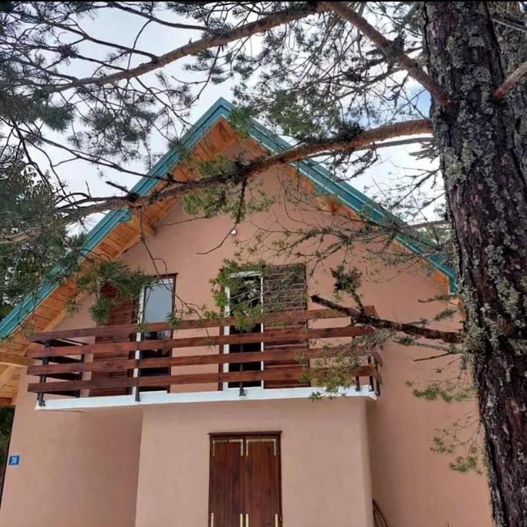Wild Peace - Five-Bedroom House - 2