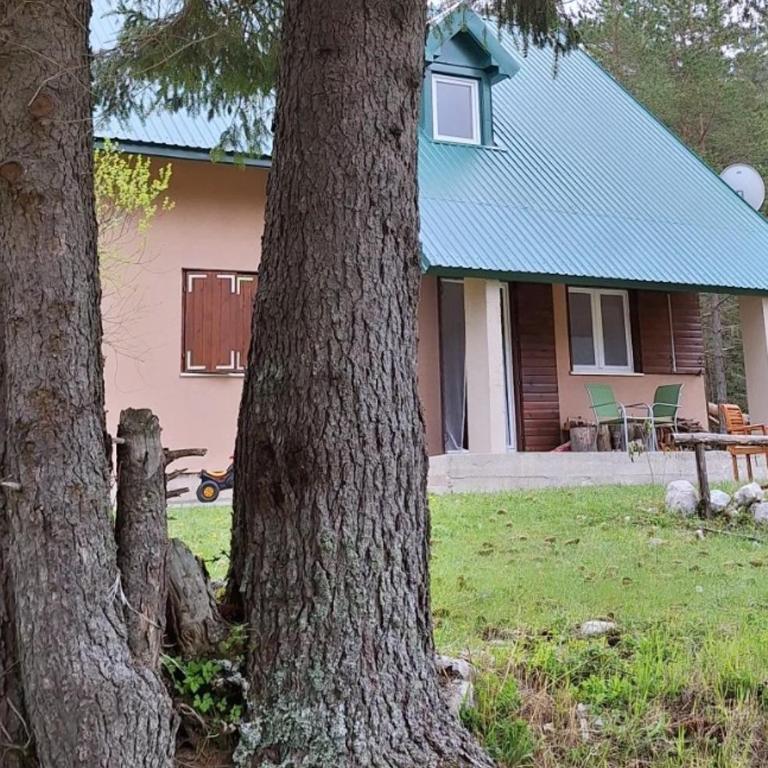 Wild Peace - Five-Bedroom House - 3