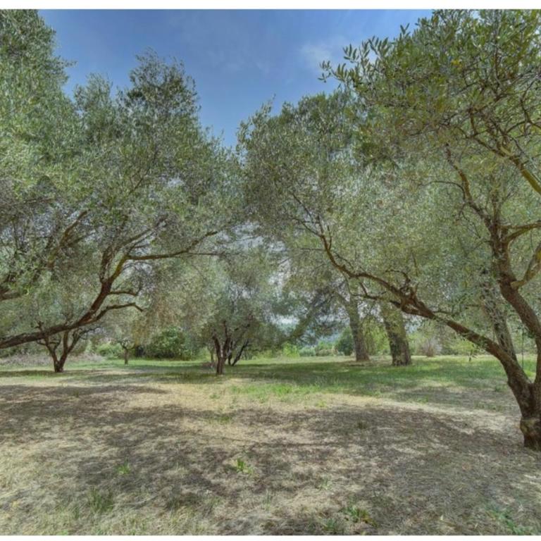 Olive tree garden villa with heated swimming pool and jacuzzi - Villa - 31