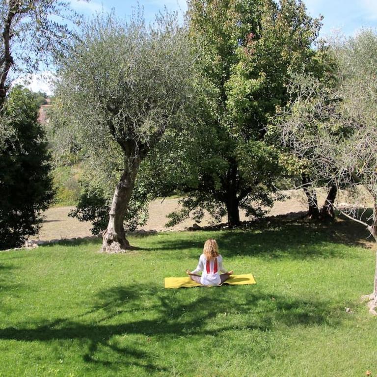 Olive tree garden villa with heated swimming pool and jacuzzi - Villa - 33