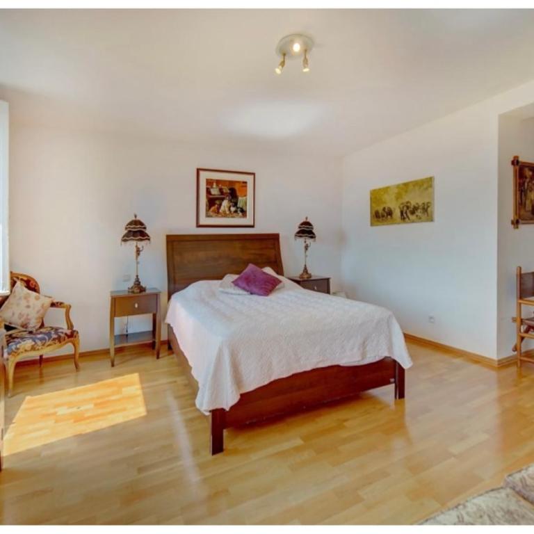 Olive tree garden villa with heated swimming pool and jacuzzi - Villa - 47
