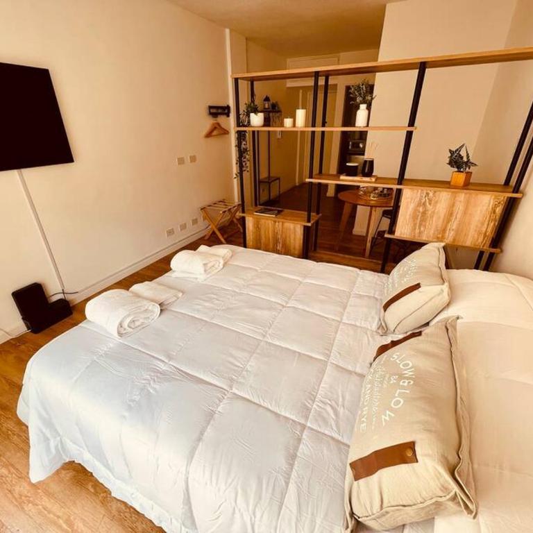 Acogedor Estudio en el Corazón de Recoleta - Apartamento de 1 dormitorio - 34