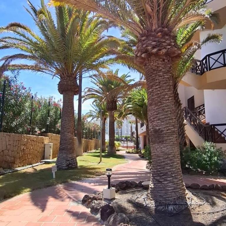 George Villa Tenerife - Apartamento de 1 dormitorio - 17