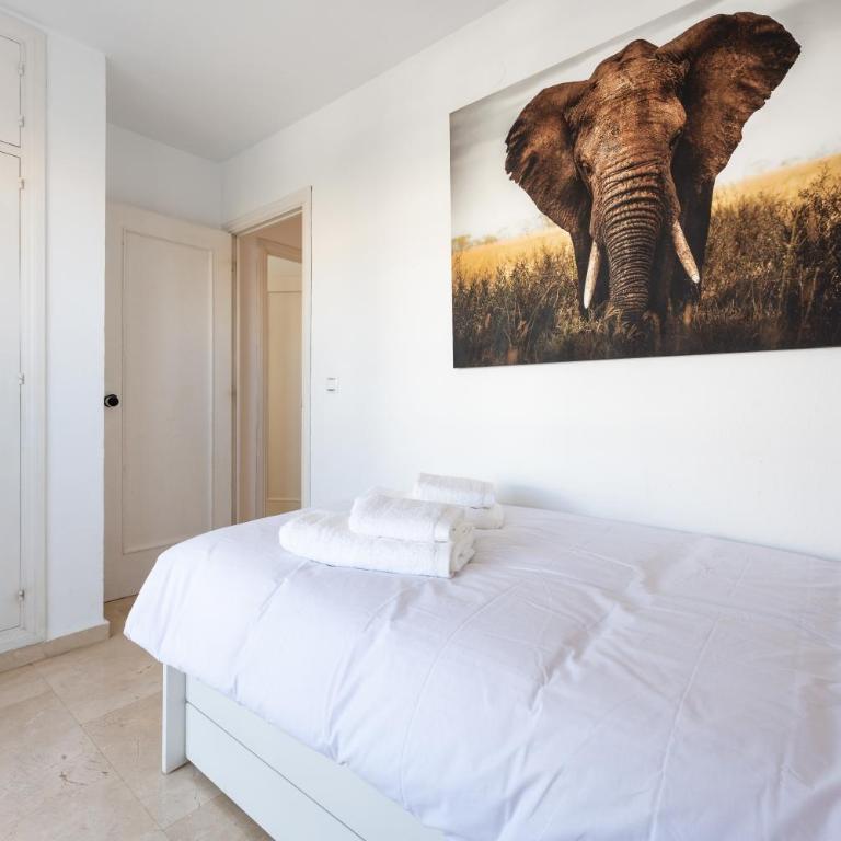 Trópico Carihuela View & Parking - Apartamento de 3 dormitorios - 25
