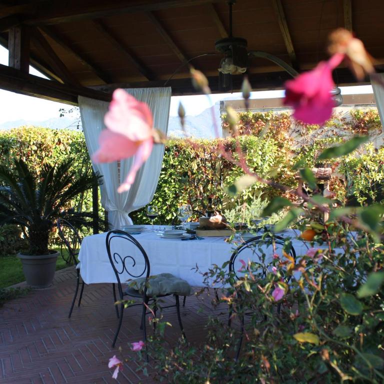 Villa Dimora degli ulivi - Villa de 3 dormitorios - 4