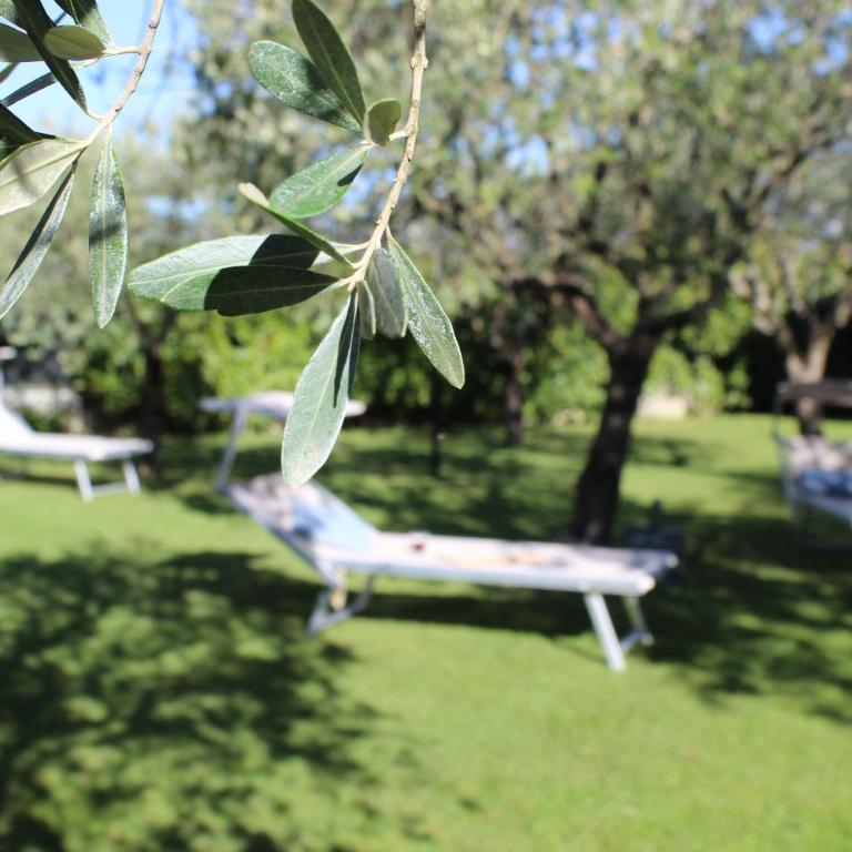 Villa Dimora degli ulivi - Villa de 3 dormitorios - 9