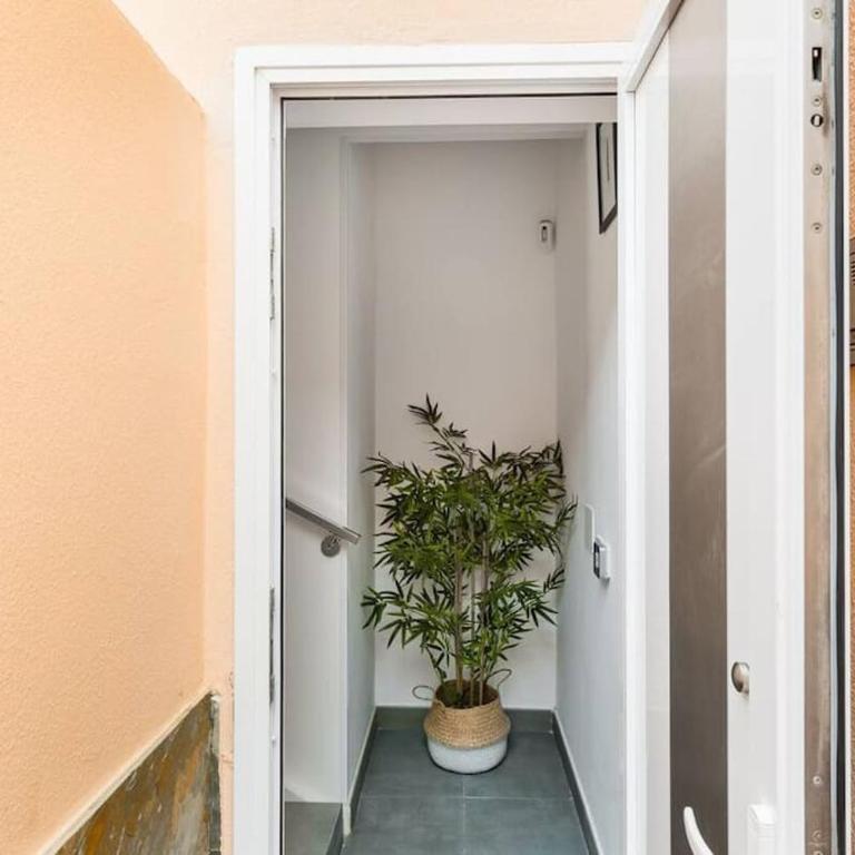 Oasis Penthouse Maspalomas - Apartamento de 2 dormitorios - 17
