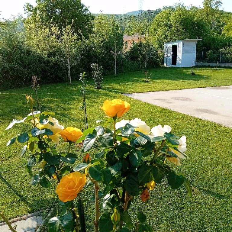 Villa Lila - Three-Bedroom Villa - 59