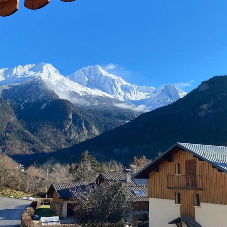 Magnifique 3 Pièces 60m2 central et proximité du lac - Two-Bedroom Apartment with Mountain View - 1