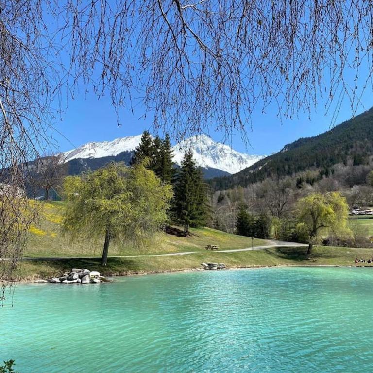 Magnifique 3 Pièces 60m2 central et proximité du lac - Two-Bedroom Apartment with Mountain View - 20