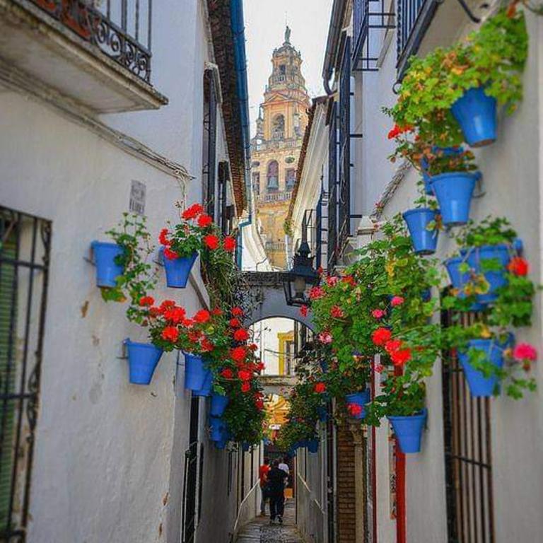 Precioso Loft El Arcángel II junto a la Ribera - Apartamento de 1 dormitorio - 36
