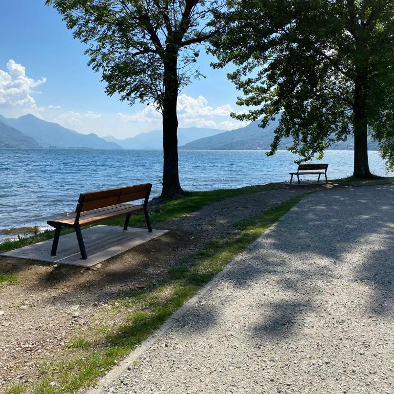 Villa Larius - YourLakeComoHome - Villa - 54