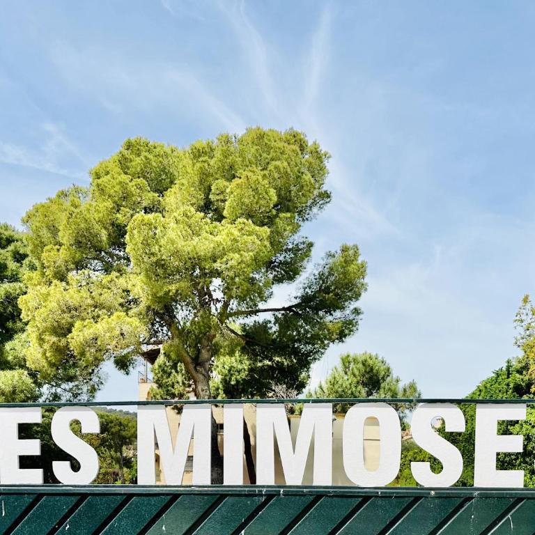 Mimoses CostaBravaSi - Apartamento - 81