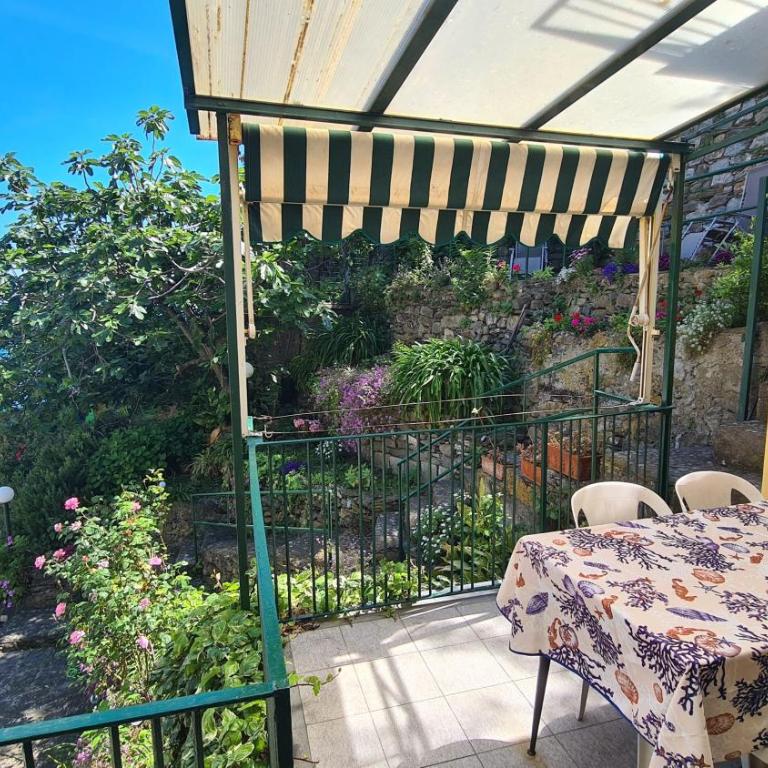 La Terrazza sul Mare Sea View - near best beaches - Appartamento - 21