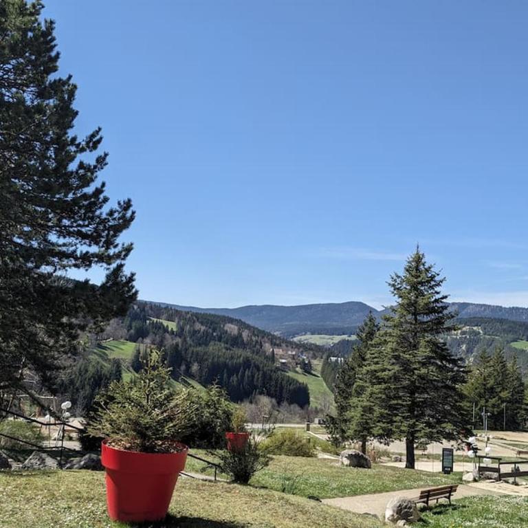Studio 25m2, 5 pers, 30m des pistes, balcon sud - Appartamento con 1 Camera da Letto - 16