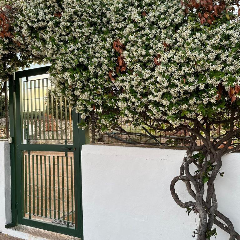 Fusella Country House - Private Villa - One-Bedroom Apartment - 24