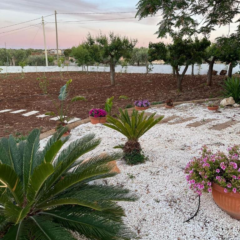 Fusella Country House - Private Villa - One-Bedroom Apartment - 25