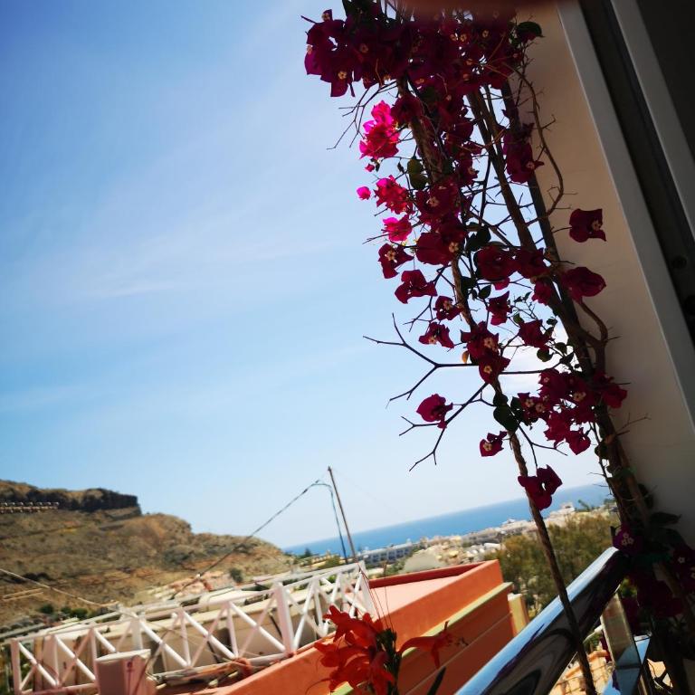 Puerto de Mogan Sonneland - Apartamento de 1 dormitorio - 17