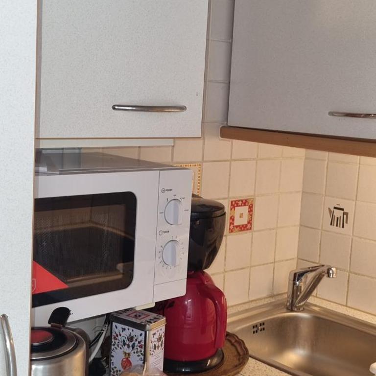 Innenstadtgarten-Wohnung - Apartment mit 1 Schlafzimmer - 5