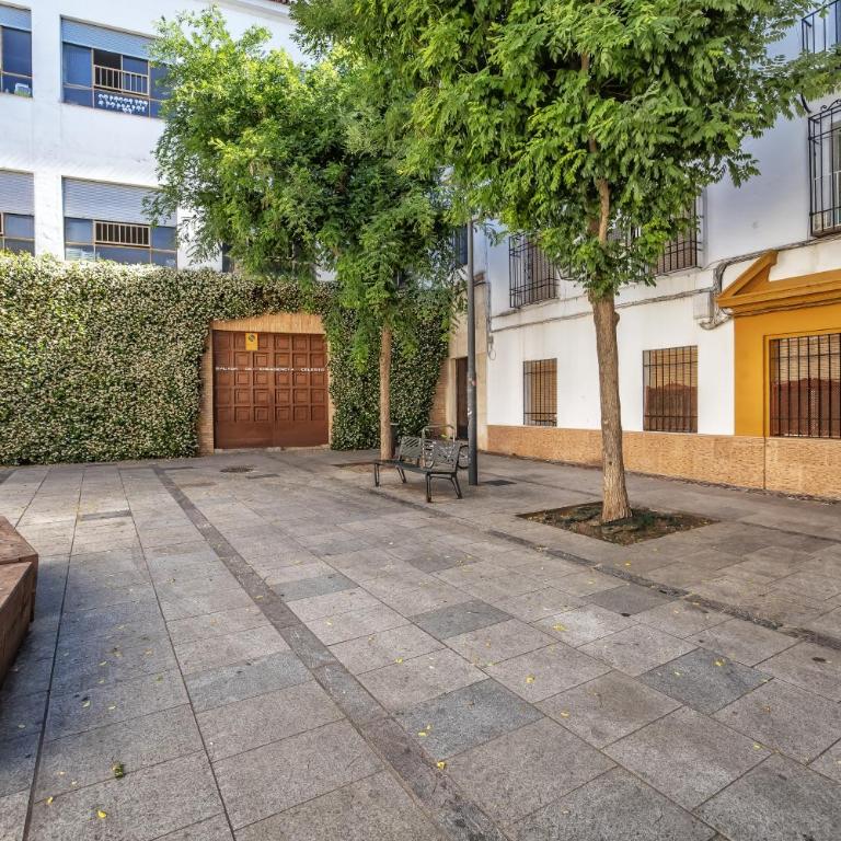 Apto Doña Engracia en el casco histórico - Apartamento de 2 dormitorios - 7